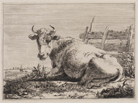 KG 07942
<br/>
Liggende koe, bij een hek
<br/>
<em>Os, Pieter Gerardus van (1776-1839)</em>